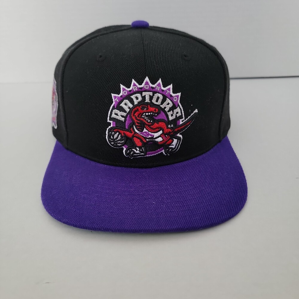 Toronto Raptors Cap Hat Snap Back Black Purple Mitchell & Ness Dino 3D Logo NBA